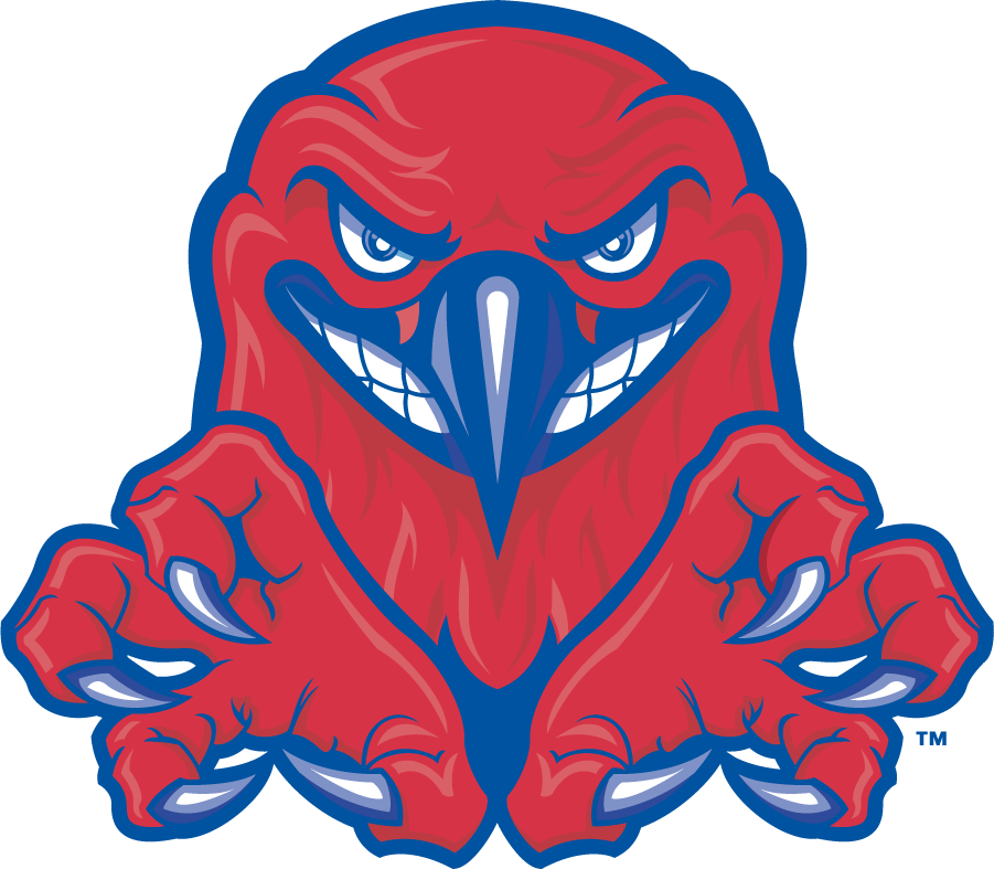 UMass Lowell River Hawks 2006-2012 Secondary Logo DIY iron on transfer (heat transfer)